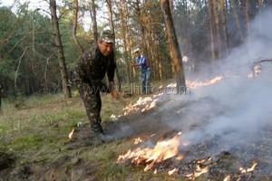Крымские леса закрыли для туристов