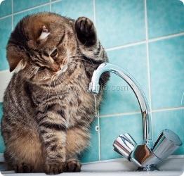 В Ялте установили новые тарифы на воду
